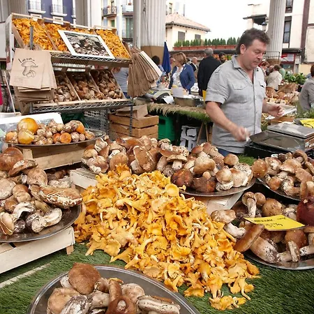 Aterian Loft 1 Zarautz