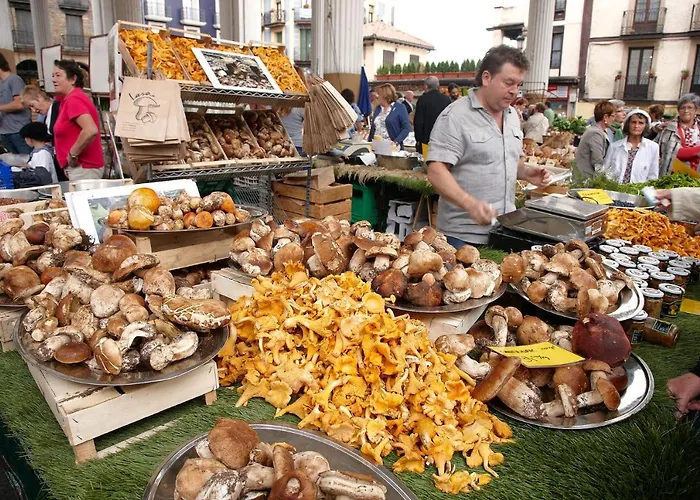 Aterian Loft 1 サラウツ